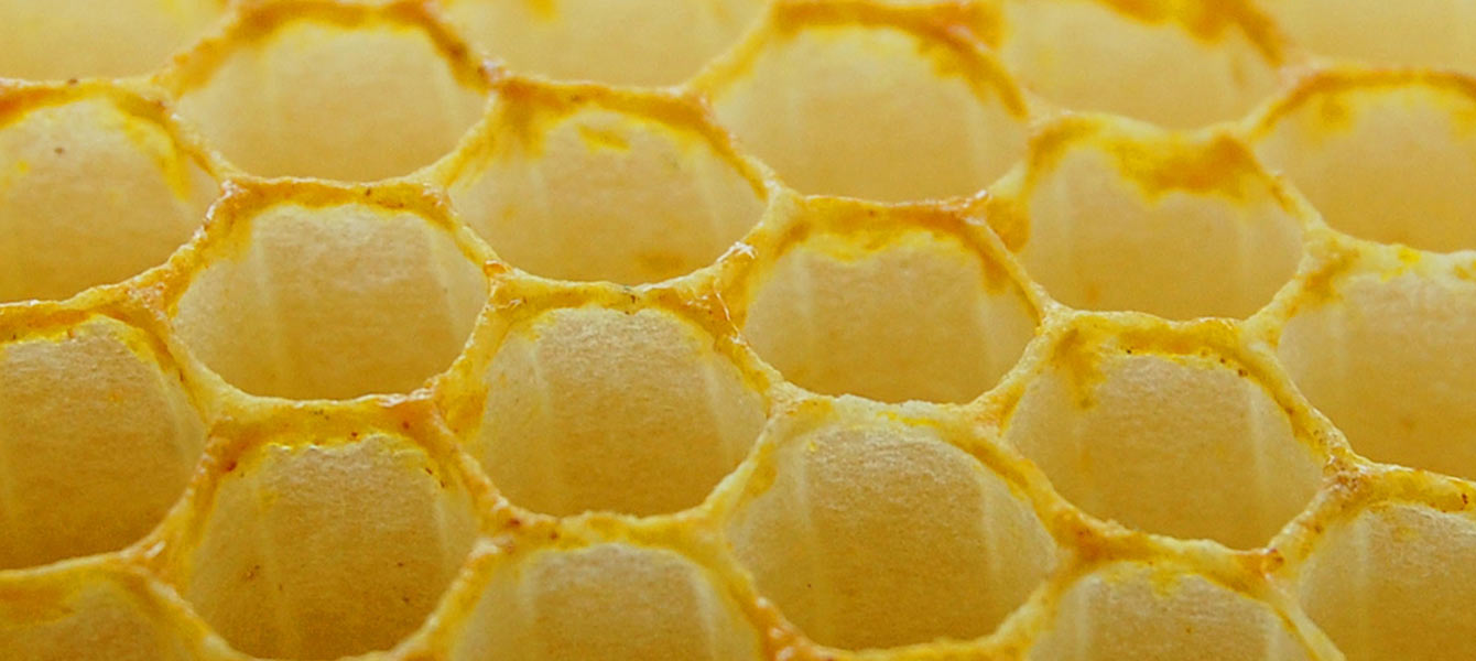Zoom sur la PROPOLIS : toute la complexité du savoir-faire des abeilles au naturel !