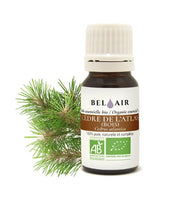 Huile essentielle de Cèdre de l'Atlas - 10 ml - L'huile essentielle de Cèdre de l'Atlas est reconnue pour ses propriétés calmantes, purifiantes et assainissantes.