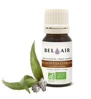 L'huile essentielle d'Eucalyptus citronné proposée par la Distillerie Bel Air est reconnue pour ses propriétés apaisantes, assainissantes et purifiantes.