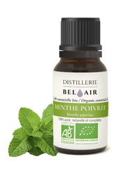 Menthe poivrée BIO française - Huile essentielle