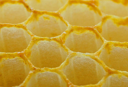 Zoom sur la PROPOLIS : toute la complexité du savoir-faire des abeilles au naturel !