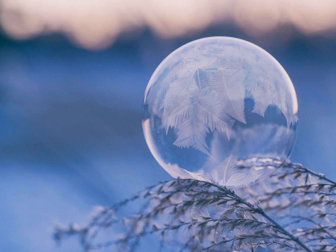 Se construire une bulle protectrice face à l’hiver