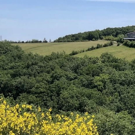 La Ferme du Hitton